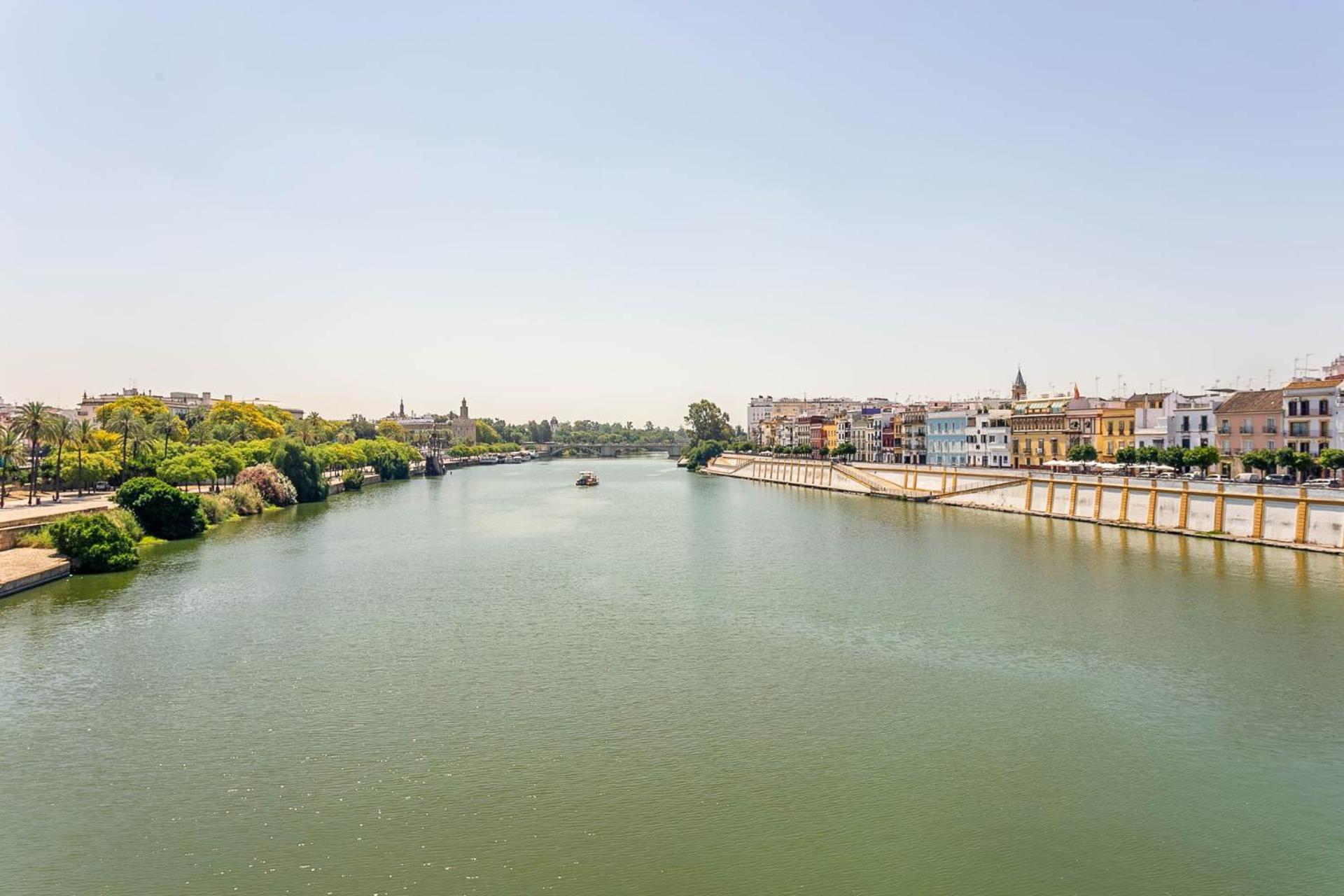 Apartment Sunterrace Loft-Triana'S Star, 10' From City Center! Seville