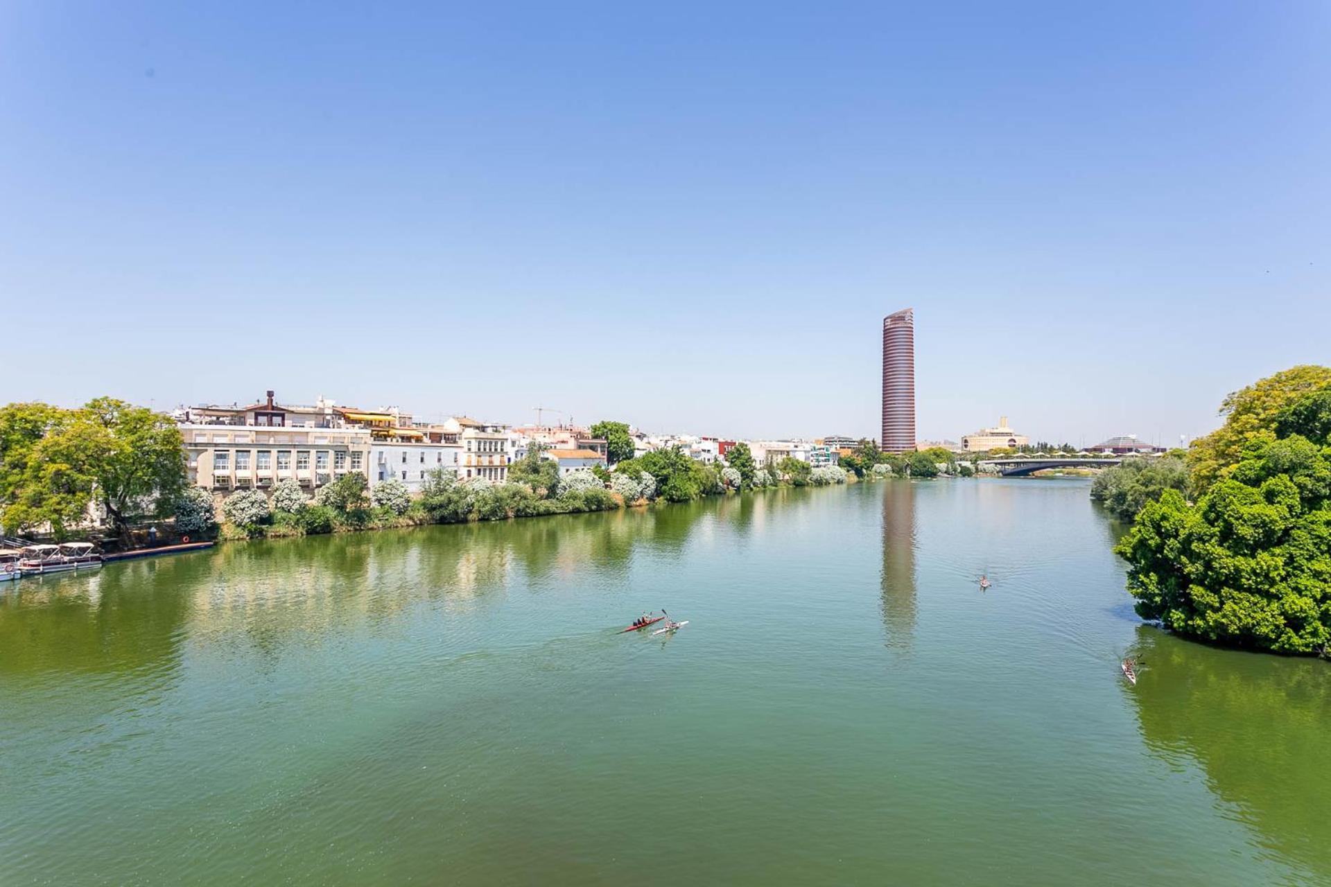 Sunterrace Loft-Triana'S Star, 10' From City Center! Apartment