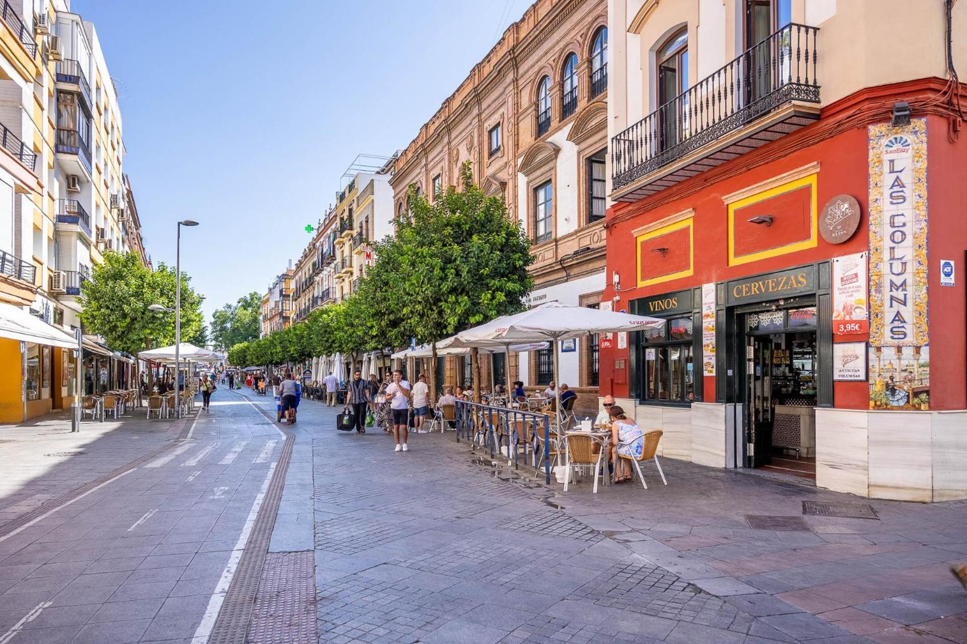 Apartment Sunterrace Loft-Triana'S Star, 10' From City Center!